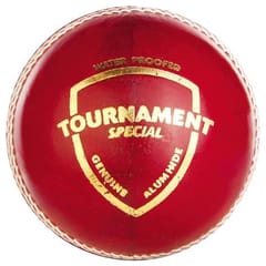 SG Tournament Special Leather Ball