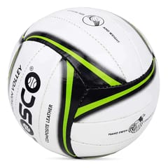 Cosco Champion Volley Ball, Size 4