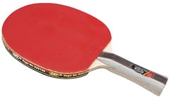 GKI Euro Star Table Tennis Wooden Racquet