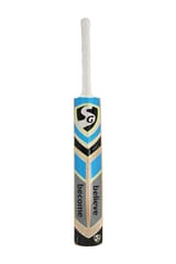 SG RSD Spark Kashmir Willow Cricket Bat for Kids