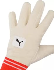 PUMA Future 20.1 Wicket Keeping Inner Gloves, RH Multicolors