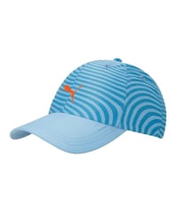 Puma World Cup Unisex-Adult Cap (2436601_Ethereal Blue_Free Size)