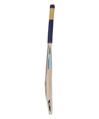 Puma Men's Gujarat JNR City Cricket Bat, Clyde Royal-Ocean Dive