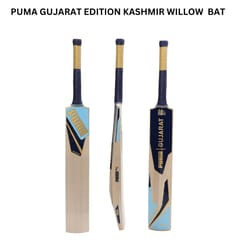 Puma Men's Gujarat JNR City Cricket Bat, Clyde Royal-Ocean Dive