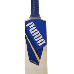 Puma Men's Mumbai JNR City Bat, Elektro Blue-Team Royal