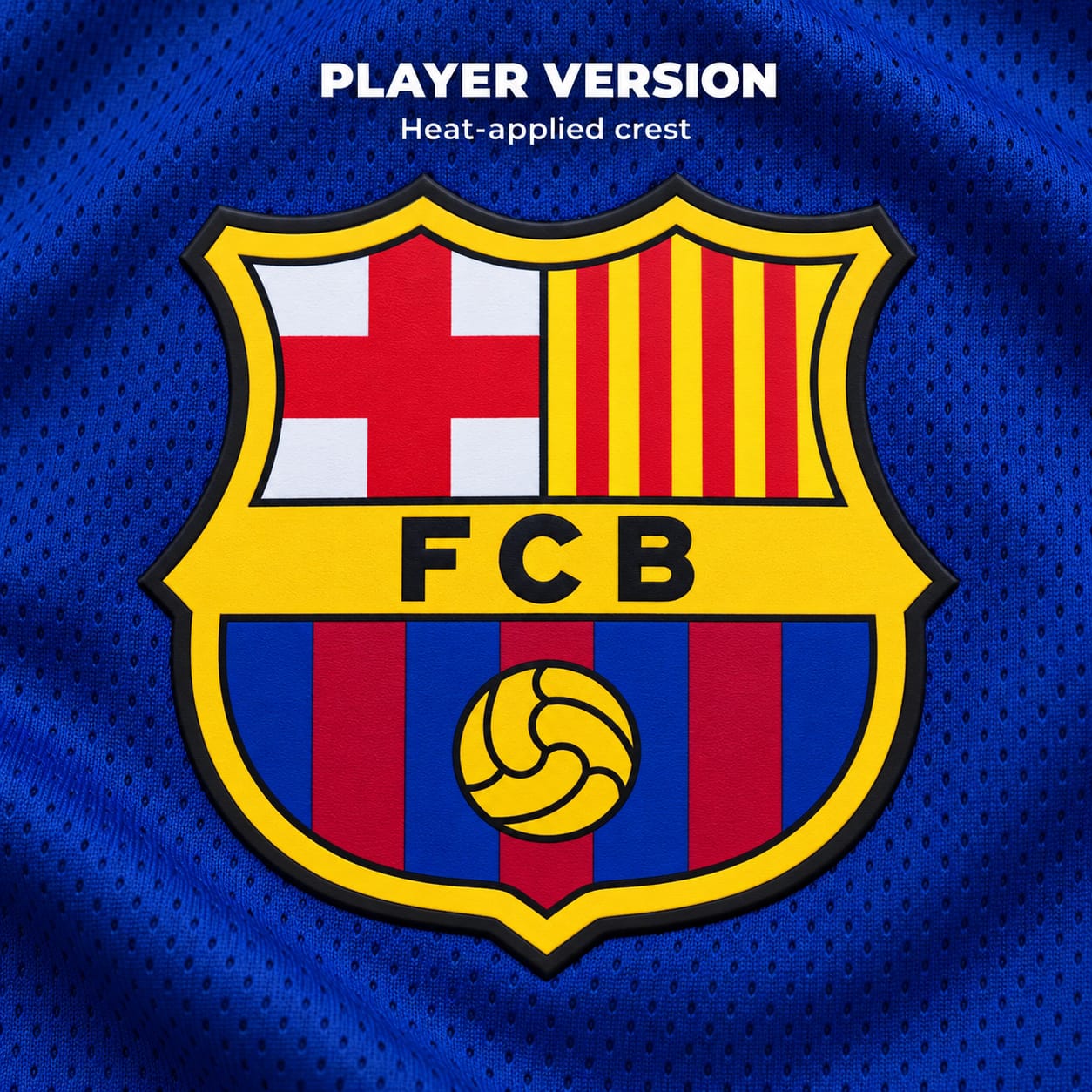 Player version